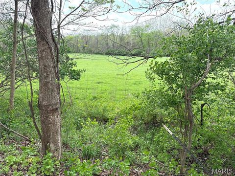 Tiny photo for 19142 Hardt Road, Wildwood, MO 63038 (MLS # 26022349)