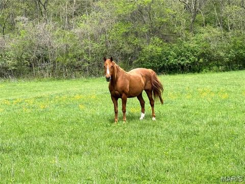Tiny photo for 19142 Hardt Road, Wildwood, MO 63038 (MLS # 26022349)