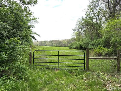 Tiny photo for 19142 Hardt Road, Wildwood, MO 63038 (MLS # 26022349)