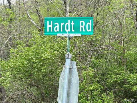 Photo of 19142 Hardt Road, Wildwood, MO 63038 (MLS # 26022349)