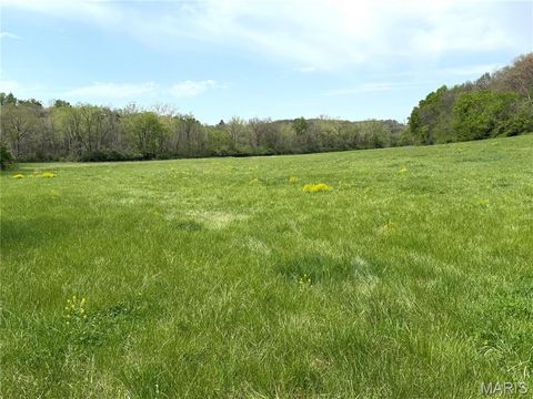 Tiny photo for 19142 Hardt Road, Wildwood, MO 63038 (MLS # 26022349)