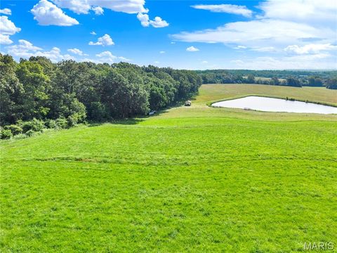Tiny photo for 4642 Highway 185, New Haven, MO 63068 (MLS # 26034675)
