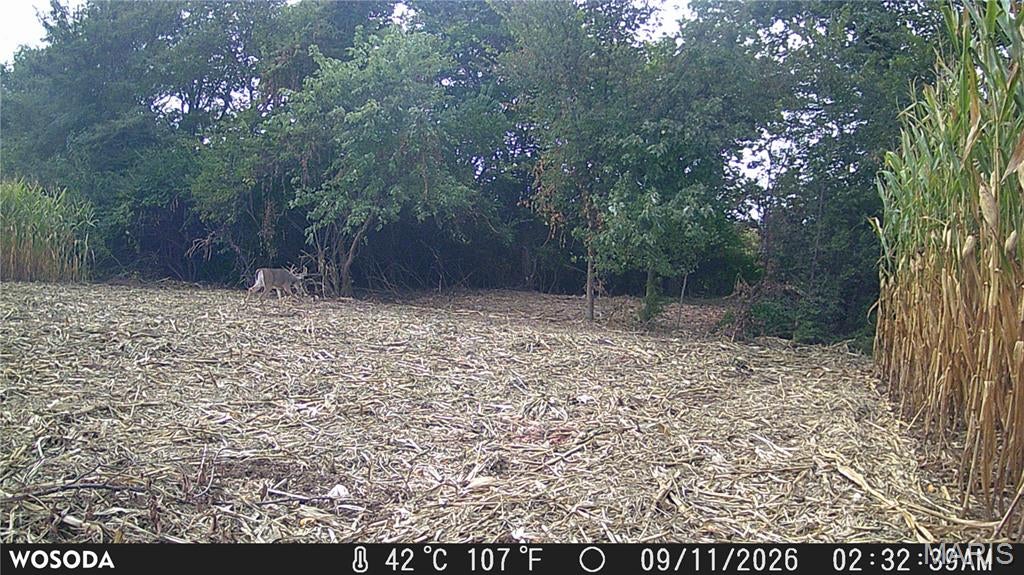 19.93 acres Walnut Hill Lane