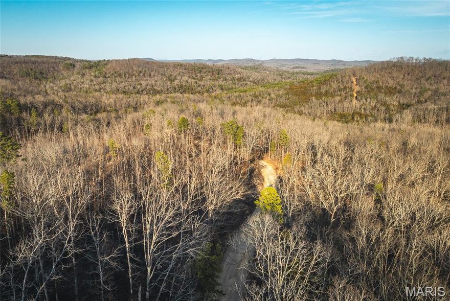 29+/- acres located in the heart of some of Missouri’s best horseback riding, hunting, and floating country — just 2.5 miles from Eminence. This incredible tract adjoins Angeline Conservation Area on the north side, putting thousands of acres of additional recreational ground right at your fingertips. Ride your horse or take a short trip to the beautiful Ozark National Scenic Riverways, where you can drop a line for smallmouth bass or enjoy a relaxing float on crystal-clear waters. This area is well known for its abundant wildlife including whitetail deer, turkey, and other small game. With elk now established in Shannon County and black bears occasionally roaming the region, the outdoor opportunities here are second to none. The property was selectively logged with conservation in mind, allowing for healthy regrowth and excellent habitat. Electric borders the eastern side, making this an ideal location to build your dream home, hunting cabin, or weekend getaway. With no restrictions, you have the freedom to create the property you envision. This tract is also being offered as two separate parcels — 16 acres and 13 acres — providing flexible options for buyers. If you’re looking for a true deer and turkey getaway in the Ozarks with unmatched access to riding trails, rivers, and conservation land, this is it.