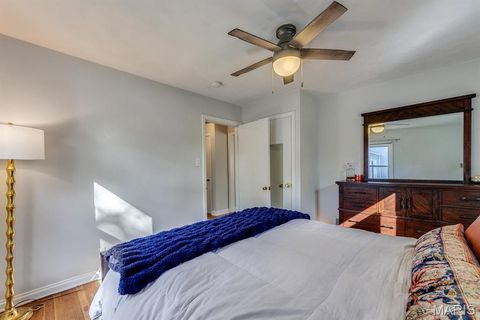 Tiny photo for 203 E Jackson Road, Webster Groves, MO 63119 (MLS # 25068560)