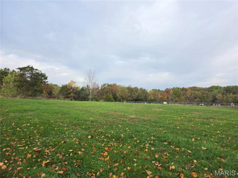 Tiny photo for 229 Highway D, Hawk Point, MO 63349 (MLS # 26068669)