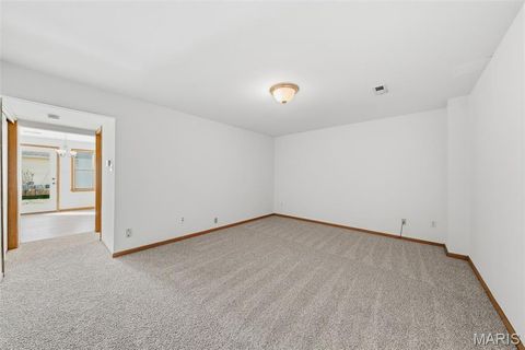Tiny photo for 22 Brittany Court, Troy, MO 63379 (MLS # 26015038)