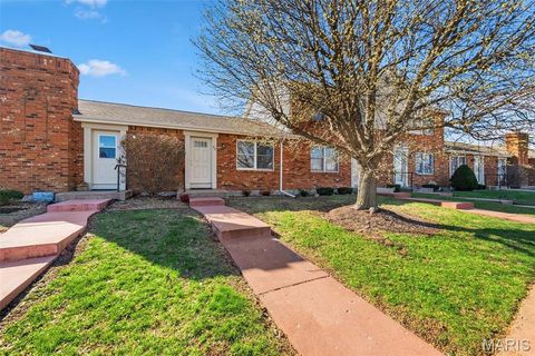 Tiny photo for 22 Brittany Court, Troy, MO 63379 (MLS # 26015038)