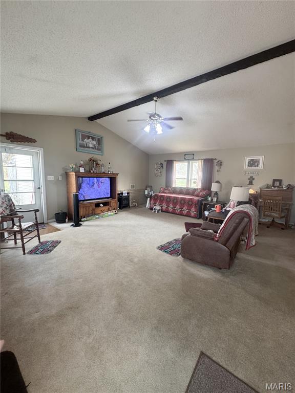 bonne terre - Residential