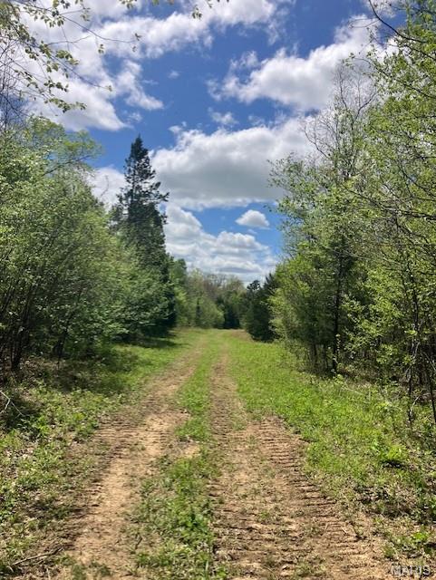 Photo 1 of 5 — 246 Madison CR 410, Fredericktown, MO 63645