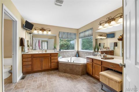 Tiny photo for 24 Milton Brennan Manor Court, Wentzville, MO 63385 (MLS # 26000420)