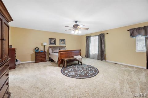 Tiny photo for 24 Milton Brennan Manor Court, Wentzville, MO 63385 (MLS # 26000420)