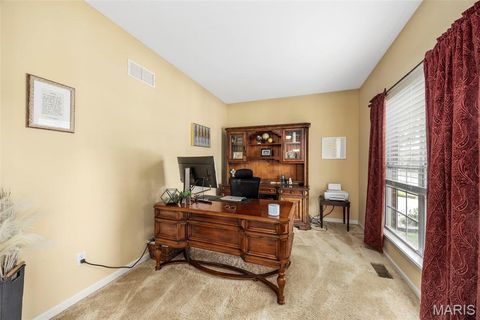 Tiny photo for 24 Milton Brennan Manor Court, Wentzville, MO 63385 (MLS # 26000420)