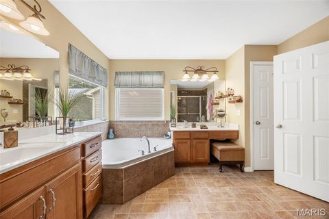 Tiny photo for 24 Milton Brennan Manor Court, Wentzville, MO 63385 (MLS # 26000420)