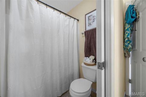 Tiny photo for 24 Milton Brennan Manor Court, Wentzville, MO 63385 (MLS # 26000420)