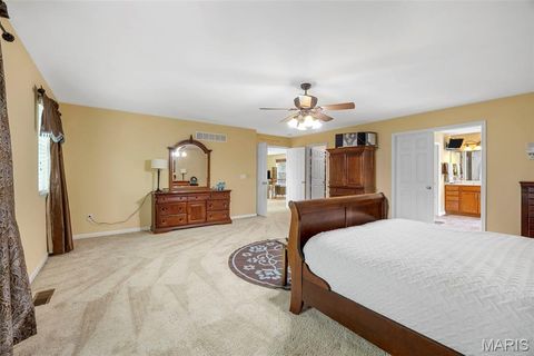 Tiny photo for 24 Milton Brennan Manor Court, Wentzville, MO 63385 (MLS # 26000420)