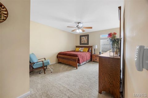 Tiny photo for 24 Milton Brennan Manor Court, Wentzville, MO 63385 (MLS # 26000420)