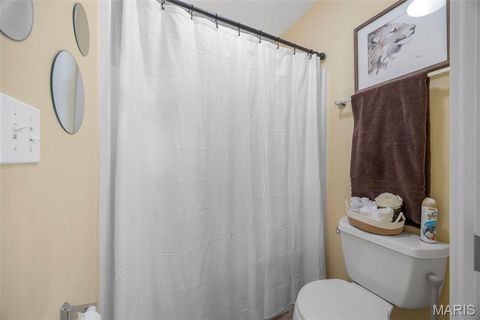 Tiny photo for 24 Milton Brennan Manor Court, Wentzville, MO 63385 (MLS # 26000420)