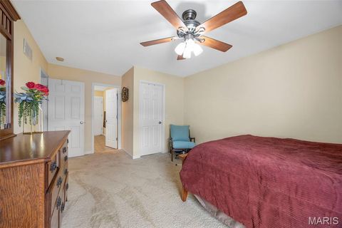 Tiny photo for 24 Milton Brennan Manor Court, Wentzville, MO 63385 (MLS # 26000420)