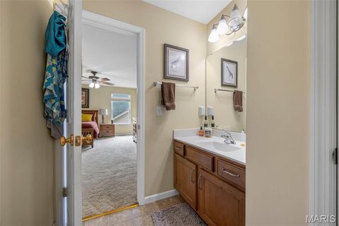 Tiny photo for 24 Milton Brennan Manor Court, Wentzville, MO 63385 (MLS # 26000420)