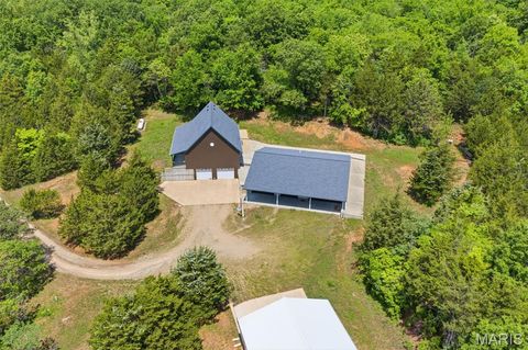 Tiny photo for 10330 Bottom Diggins Road, Cadet, MO 63630 (MLS # 26027110)