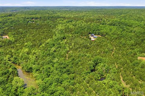 Tiny photo for 10330 Bottom Diggins Road, Cadet, MO 63630 (MLS # 26027110)