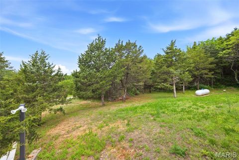 Tiny photo for 10330 Bottom Diggins Road, Cadet, MO 63630 (MLS # 26027110)
