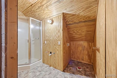 Tiny photo for 10330 Bottom Diggins Road, Cadet, MO 63630 (MLS # 26027110)