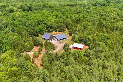 Tiny photo for 10330 Bottom Diggins Road, Cadet, MO 63630 (MLS # 26027110)
