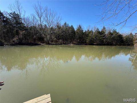 Tiny photo for 10330 Bottom Diggins Road, Cadet, MO 63630 (MLS # 26027110)