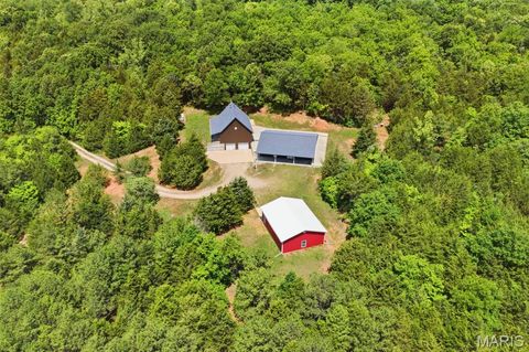 Photo of 10330 Bottom Diggins Road, Cadet, MO 63630 (MLS # 26027110)