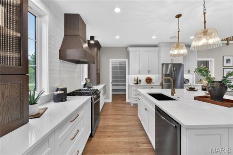 Tiny photo for 216 W Essex Avenue, Kirkwood, MO 63122 (MLS # 26027729)