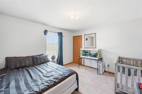 Tiny photo for 2520 Trojan Circle, Troy, MO 63379 (MLS # 26015031)