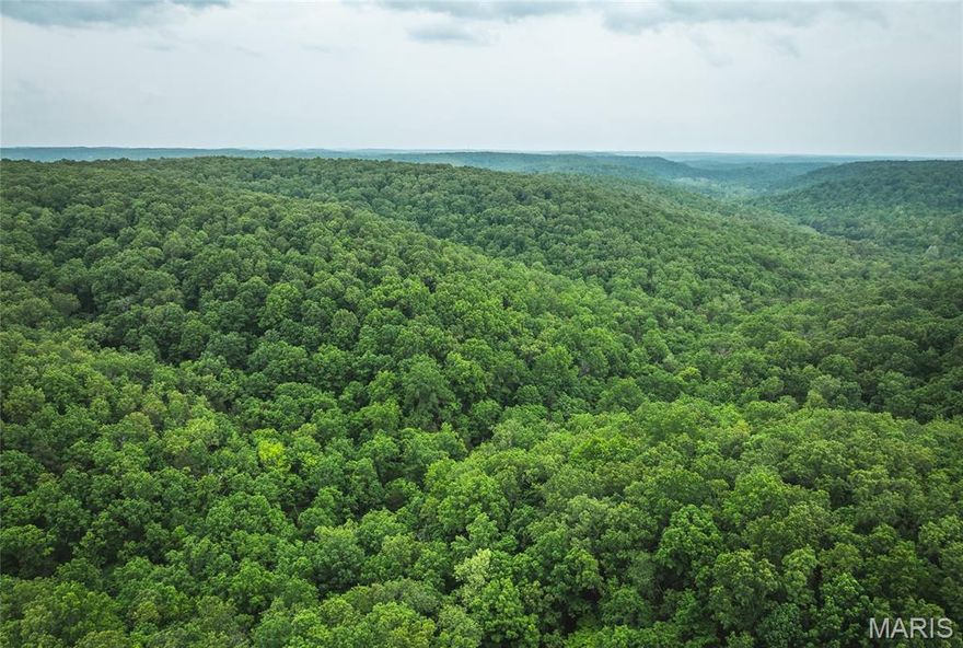 50 acres of stunning Missouri mountain beauty, perfectly suited for the outdoor enthusiast. Located just minutes from Montauk State Park and some of the best trout fishing in the state, and only two hours from St. Louis, this incredible piece of land offers a rare combination of seclusion and access. The property is a true deer and turkey sanctuary, with mature timber covering the landscape, including white oak, black oak, red oak, and cedar. Its ridgelines and varied topography create excellent natural funnels and vantage points, ideal for hunting setups or future build sites. With no restrictions, the possibilities are endless. Whether you're envisioning a private hunting camp, a weekend escape, or simply a quiet place to invest and explore, this land offers the freedom to make it your own.