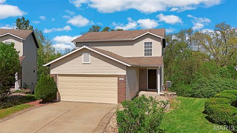 Photo of 25 Ramblewood Court, Wentzville, MO 63385 (MLS # 26031407)