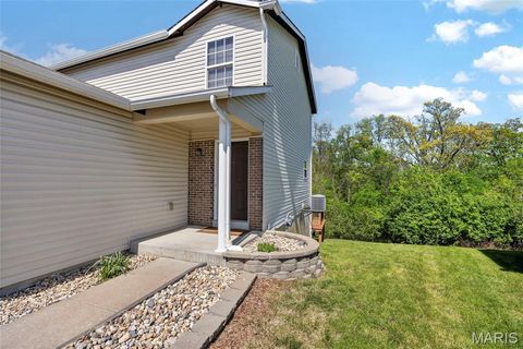 Tiny photo for 25 Ramblewood Court, Wentzville, MO 63385 (MLS # 26031407)