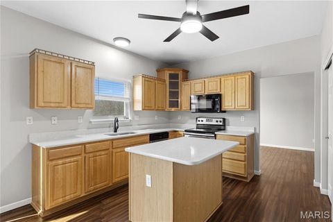 Tiny photo for 569 Great Oaks Meadow Drive, Wentzville, MO 63385 (MLS # 26006794)