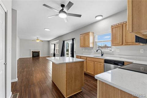 Tiny photo for 569 Great Oaks Meadow Drive, Wentzville, MO 63385 (MLS # 26006794)