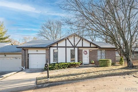Photo of 6 Tarpon Court, Florissant, MO 63033 (MLS # 25082407)