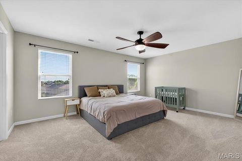 Tiny photo for 506 Rifle Ridge Drive, Wentzville, MO 63385 (MLS # 26027770)