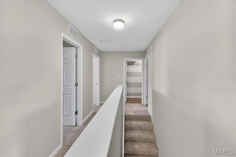Tiny photo for 506 Rifle Ridge Drive, Wentzville, MO 63385 (MLS # 26027770)