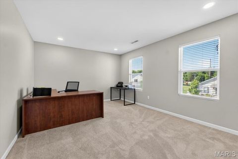 Tiny photo for 506 Rifle Ridge Drive, Wentzville, MO 63385 (MLS # 26027770)