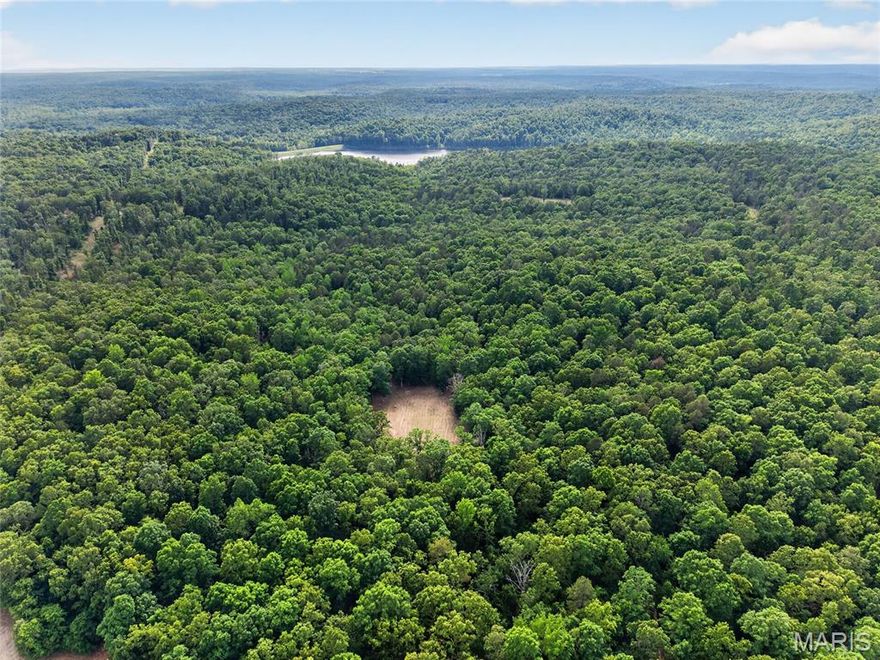 Discover a hunter's paradise in Ripley County, Missouri. Located in the Fairdealing area, this premier 75-acre recreational tract offers maturing Ozark timber, strategic water sources, and exceptional privacy right next door to world-class public land. Outdoor recreation opportunities abound in the area, making this an exceptional year-round destination for outdoor sports enthusiasts. This premium Ripley County acreage delivers an excellent blend of dense holding cover and turn-key hunting features. Accessing the property is easy, located just north of Highway 160 in Fairdealing. Follow Highway BB until the blacktop transitions into a maintained gravel road for approximately t 3 miles, leading you directly to your private retreat. With over 1,600 feet of county road frontage, the property offers fantastic accessibility and multiple potential entry points. Electric power is can be accessible at the road, making this a prime candidate for a future cabin, hunting camp, or camper hookup.
Navigating the rolling Ozark terrain is seamless via the clean interior trail system, allowing you to quietly slip into stands, ride ATVs, or hike the property. The land is highly dynamic, featuring several seasonal creeks and wet-weather runoffs that act as vital water sources and natural travel funnels for local wildlife.
Food plot management is already simplified with two large, pre-cleared locations positioned strategically to capitalize on natural deer & wildlife movement. Because this property sits right in the path of the expansive, 1,404-acre Mudpuppy Conservation Area—which terminates at the end of Highway BB—your acreage benefits from a massive, protected wildlife buffer. Outdoor recreation options expand significantly with the Little Black River flowing nearby. This designated outstanding state water resource provides an incredible aquatic buffer, excellent local fishing, floating, and kayaking opportunities. It creates a continuous sanctuary packed with heavy deer sign, active scrapes, and roosting turkeys, offering private-land exclusivity with endless room to roam just up the road.
