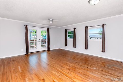 Tiny photo for 135 Holdinghausen Drive, Crystal City, MO 63019 (MLS # 26030140)