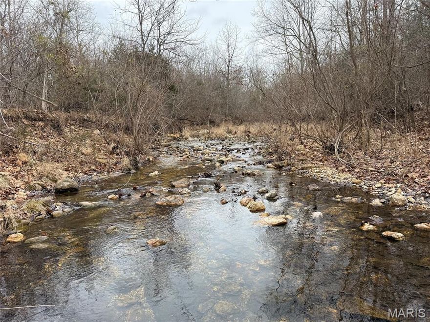 Cape Creek 14. 14.31 acres, approximately 6 acres cleared, county road frontage and electric nearby. Easy access, just off Hwy 72, and a quarter mile away from Amidon Memorial Conservation area. Looking to homestead, or just a place to park your camper on the creek with access to thousands of acres of public land nearby, this could be the one!