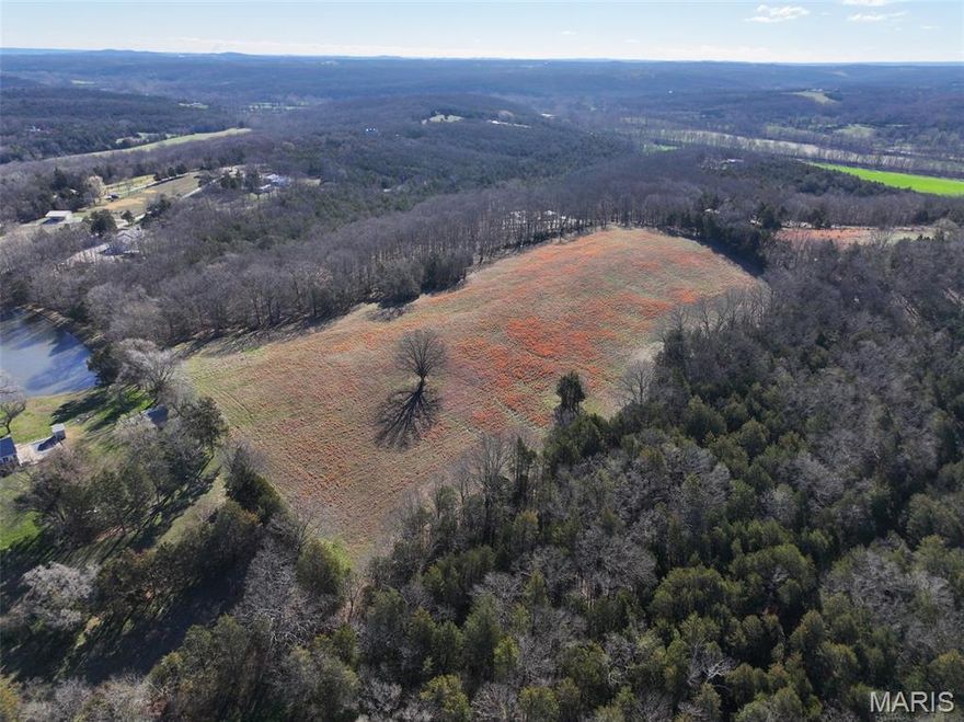 Located off Scanlon Drive just outside of De Soto in Jefferson County, this 16.88 acre tract offers a manageable size with a layout that supports a variety of uses. The property is primarily open pasture, making it easy to access and utilize right away, with a small patch of timber adding diversity and cover. The open ground provides a good footprint for a future home site with acreage. There is ample room for a house, outbuildings, and yard space while still maintaining usable pasture. The terrain is user-friendly, which can help simplify building plans and general maintenance. Whether you are looking to establish a small homestead or simply want some space outside of town, this property offers a practical setup. A small section of timber sits along the property, offering shade, natural cover, and a place for wildlife to move through. While the acreage is smaller, this timbered portion can still provide hunting opportunities, particularly for deer that travel between larger blocks of surrounding habitat. The combination of open ground and timber creates natural edges that wildlife tend to follow. Electric is available nearby, giving you the ability to move forward with improvements as needed. Access from Scanlon Drive allows for convenient entry while still maintaining a rural setting. You are located just a short drive from De Soto and within easy reach of Hillsboro, providing access to groceries, fuel, and other services. This makes the property suitable for either a full-time residence or a weekend retreat. This 16.88 acre tract is well-suited for buyers looking for a smaller piece of land that still offers flexibility. With open pasture, a touch of timber, nearby utilities, and convenient location, it provides a solid base for building, recreation, or light agricultural use.