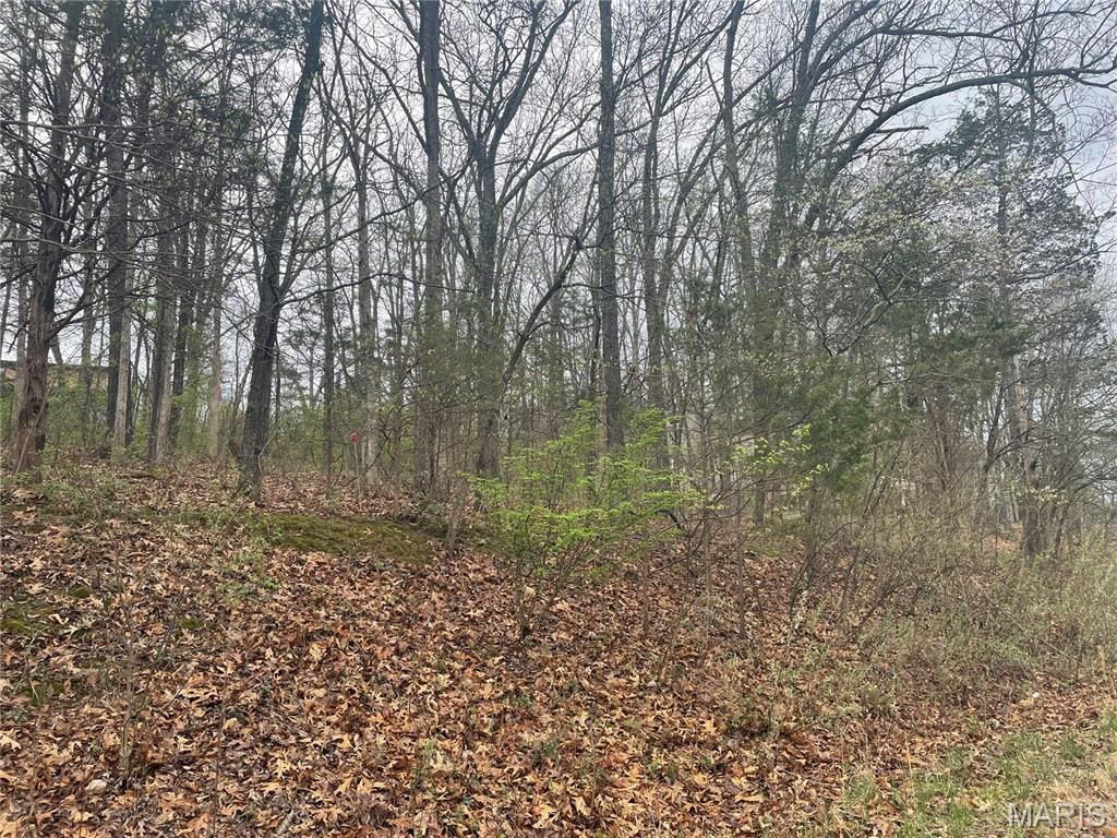 Photo of 6330 Sparrow Drive, French Village, MO 63036 (MLS # 26019547)