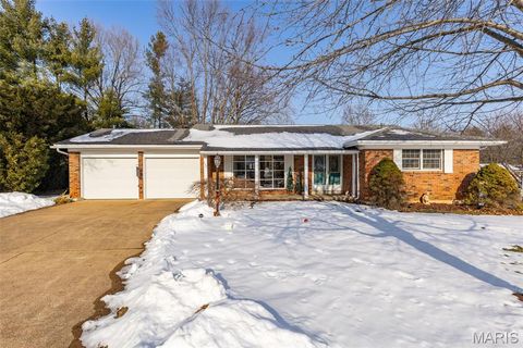 534 Sequoia Street Farmington MO 63640