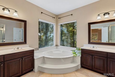 Tiny photo for 16810 Westglen Farms Drive, Wildwood, MO 63011 (MLS # 25074298)