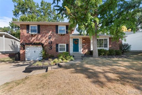 603 W Essex Avenue Kirkwood MO 63122